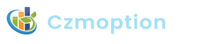 Czmnoption